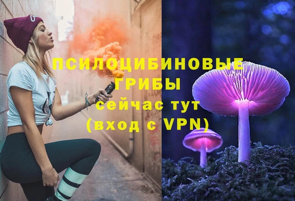 молекула духа Нефтекумск