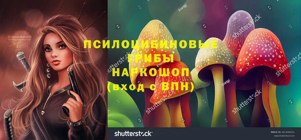 молекула духа Нефтекумск