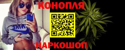 крисы Бийск