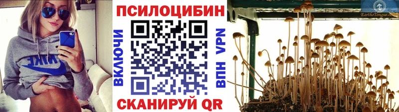 нарко площадка какой сайт  Лениногорск  Галлюциногенные грибы Cubensis 