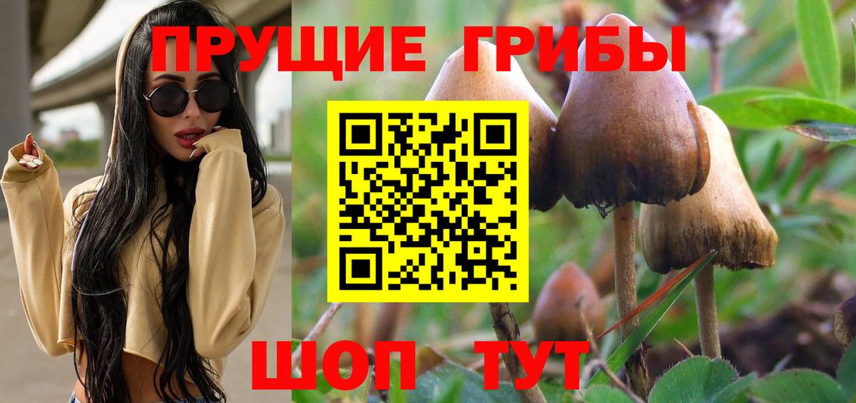 Галлюциногенные грибы Magic Shrooms Лениногорск