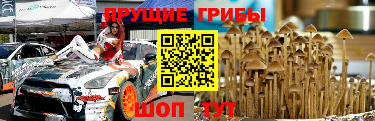 Галлюциногенные грибы мицелий  Вход с VPN  Лениногорск 