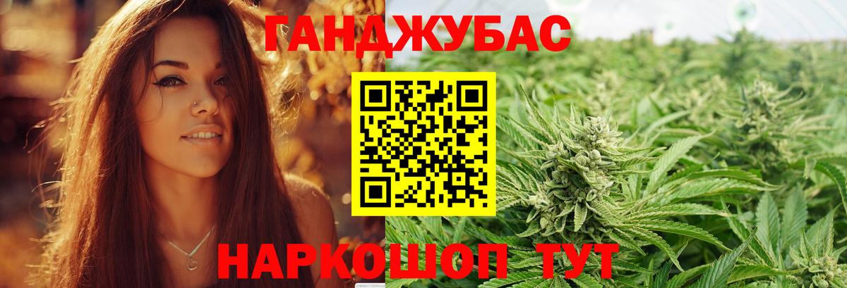 Шишки марихуана план  Марихуана OG Kush  Вход с VPN  Марихуана Ganja  Лениногорск 